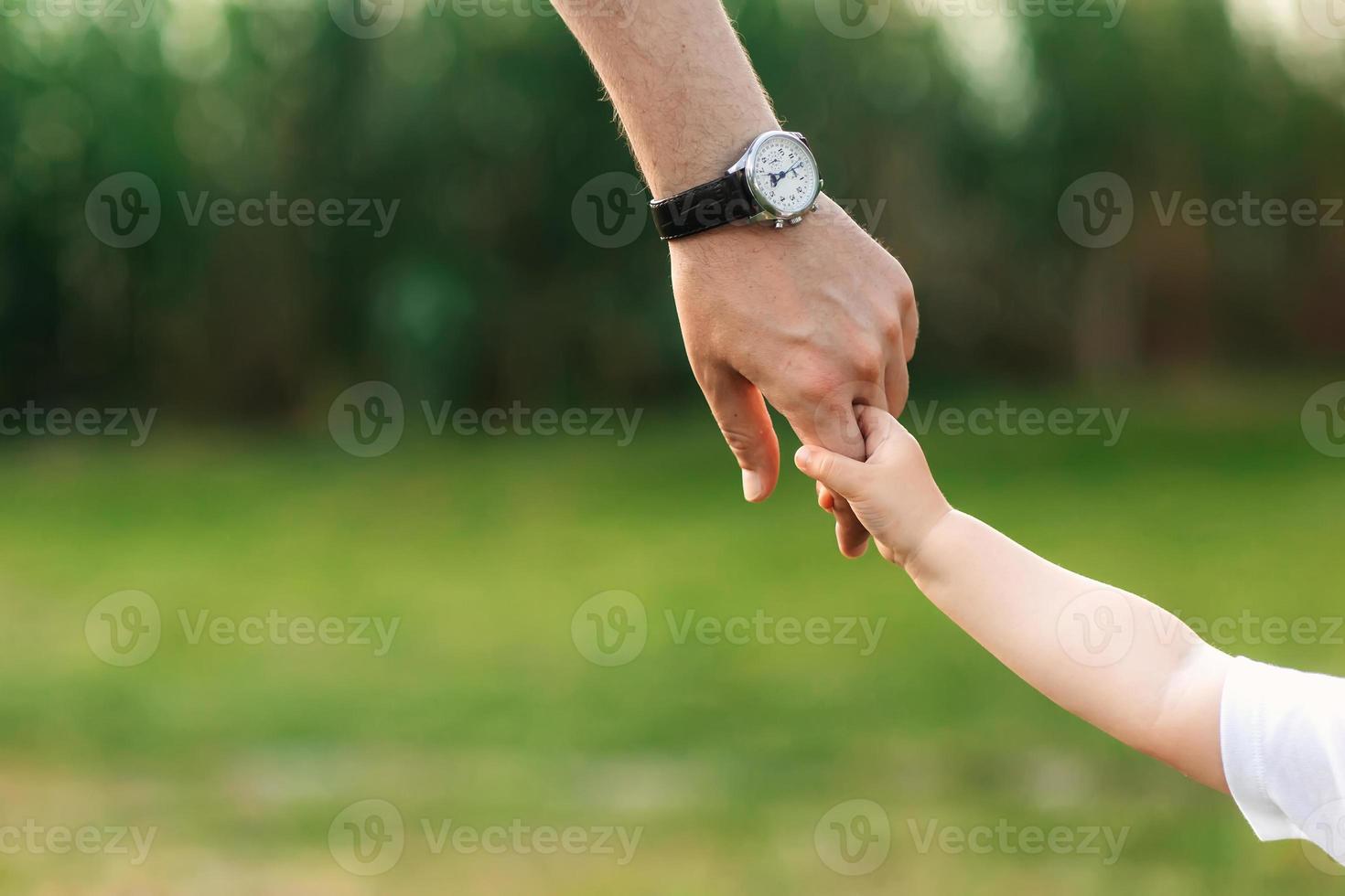 Dad holding his child by the hand. A walk in the nature photo