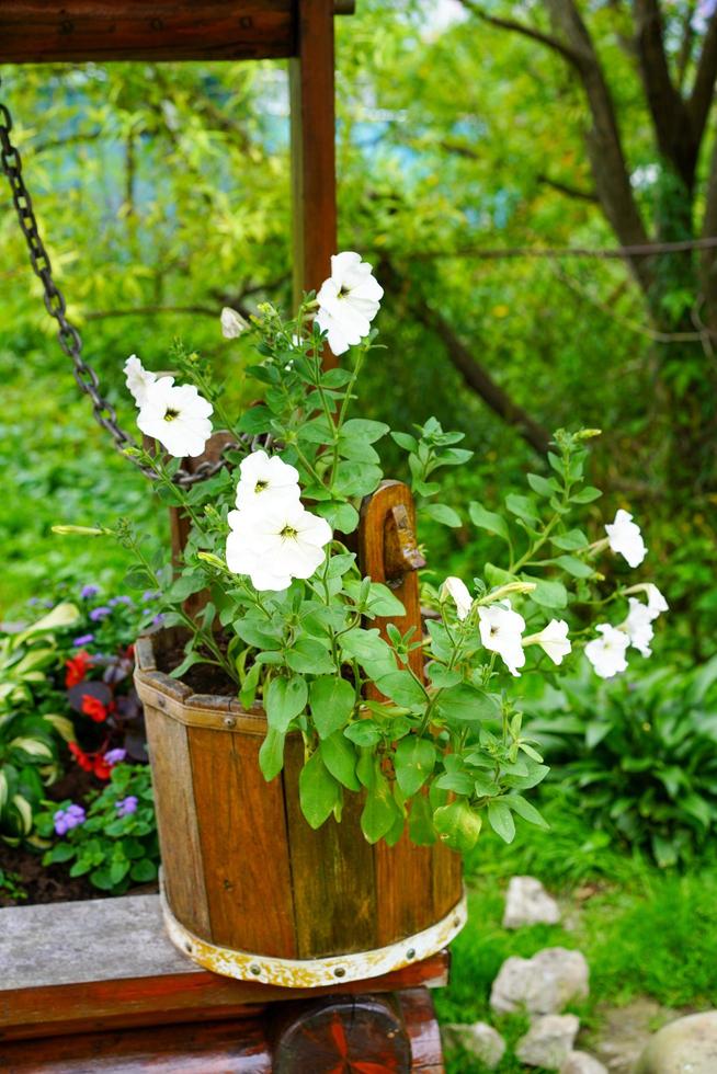 Wooden water well decorated with flowers in pots photo