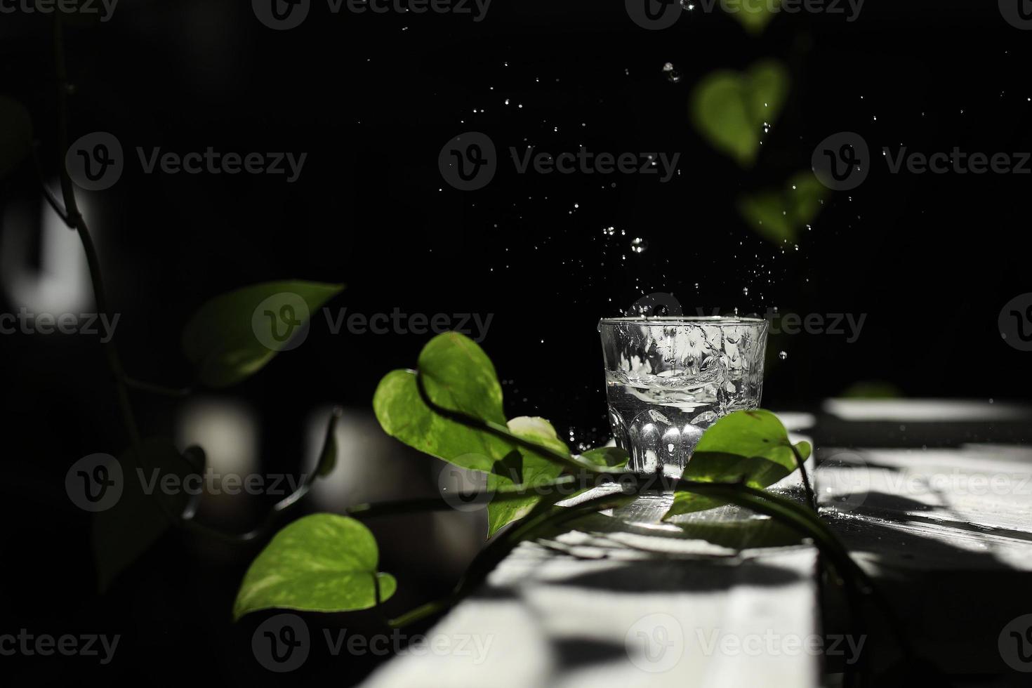 A glass of water on a white table with a branch of a green leaf. Splashes in the sun's rays. A glass with water photo