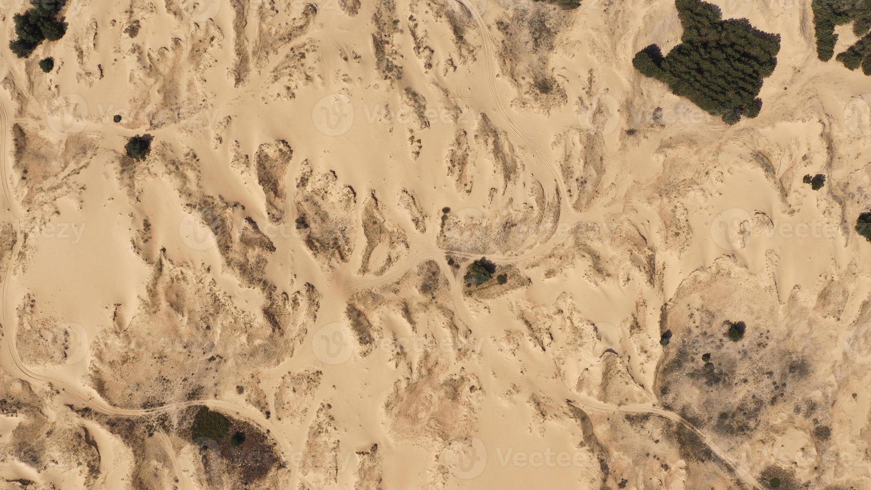Aerial view of the textures and patterns of the desert sands. Beautiful landscape. Desert and green bushes. photo