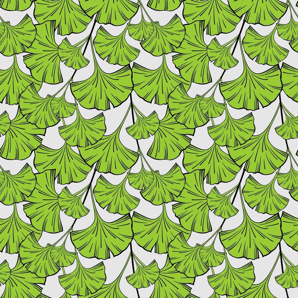 fondo transparente con hojas de ginkgo biloba vector