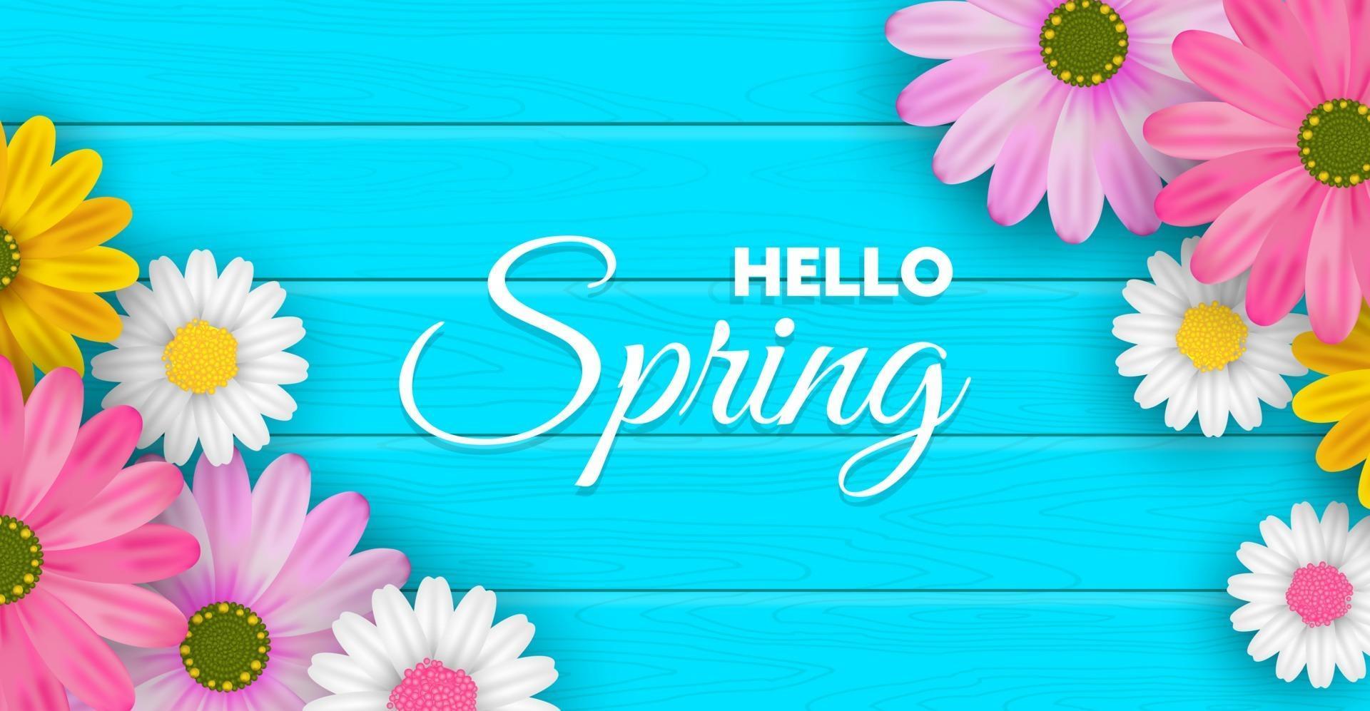 Spring background or banner design with lovely element. EPS10 vector