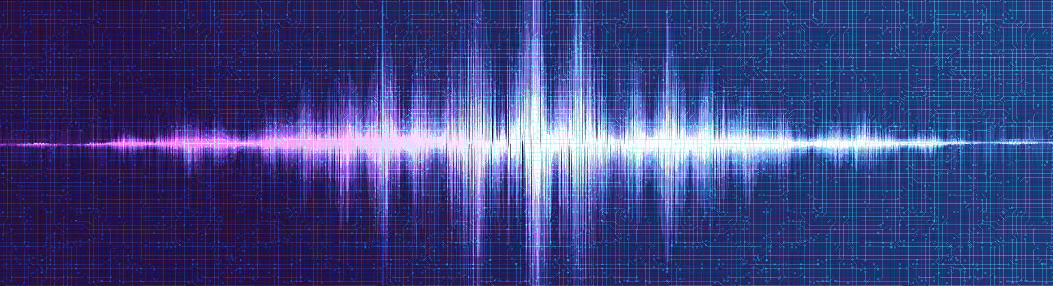 Panorama Digital Sound Wave Low and High vector