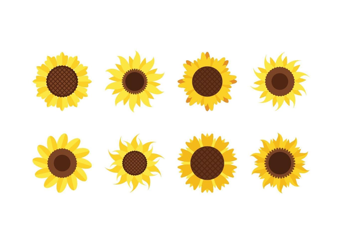 vector de plantilla de diseño de icono de girasol