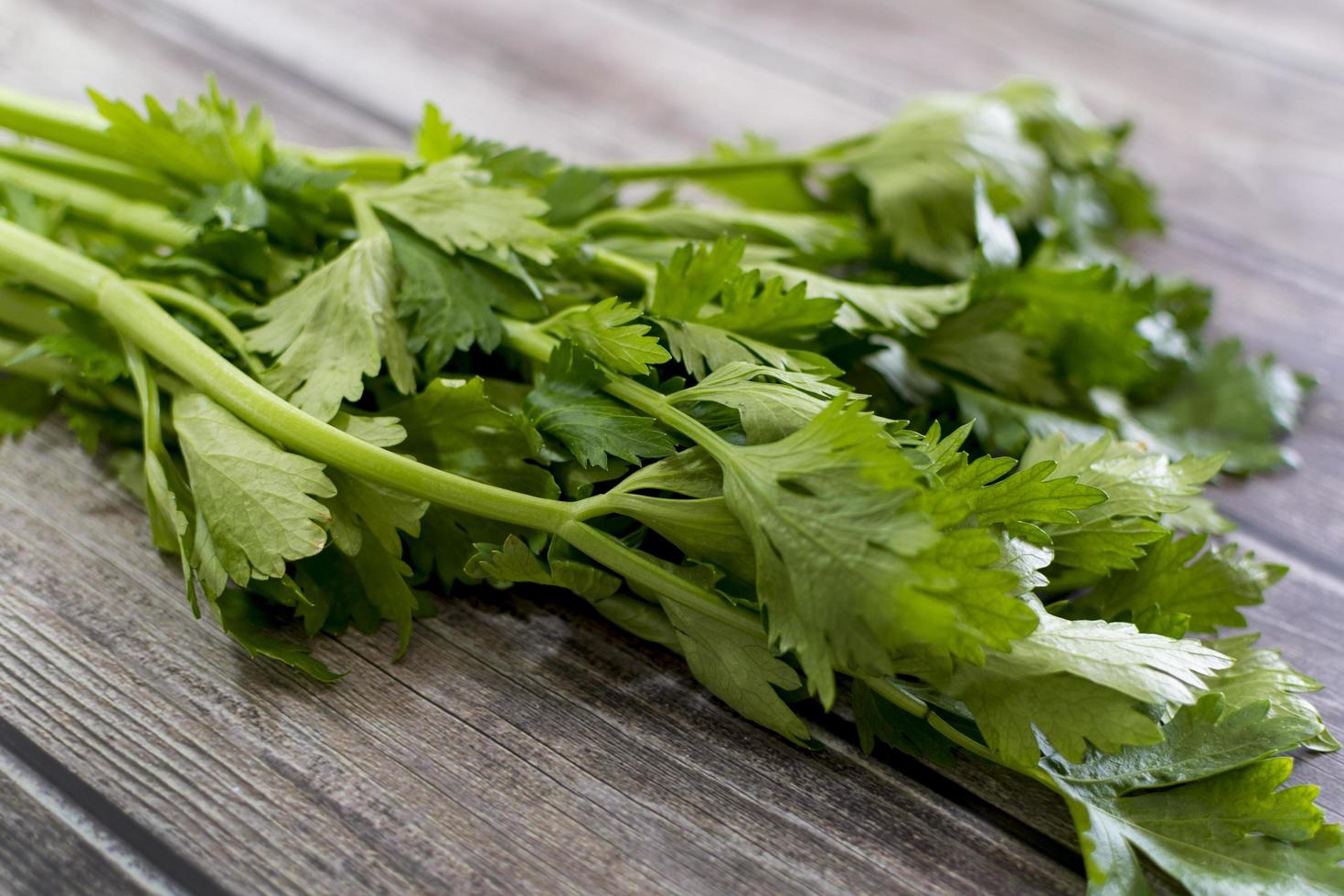 Close up of fresh celery on old wooden background photo