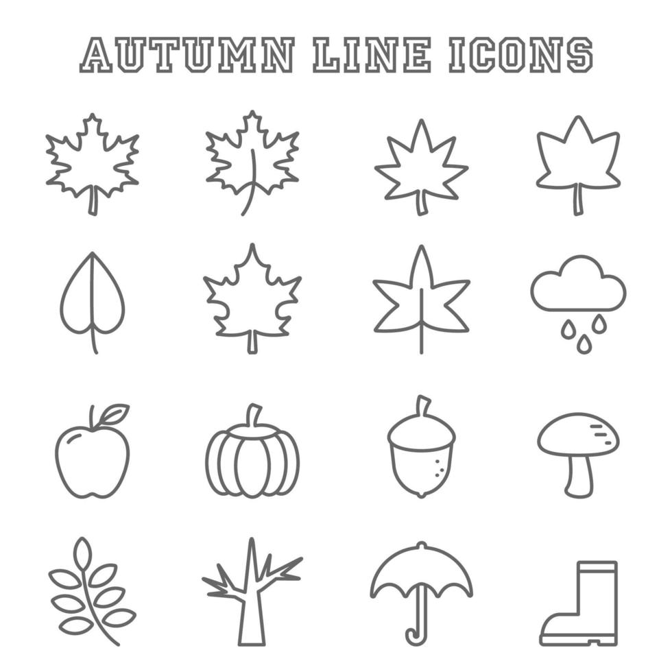 autumn line icons vector