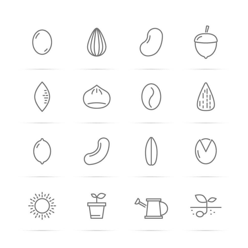 seed and nut vector line icons