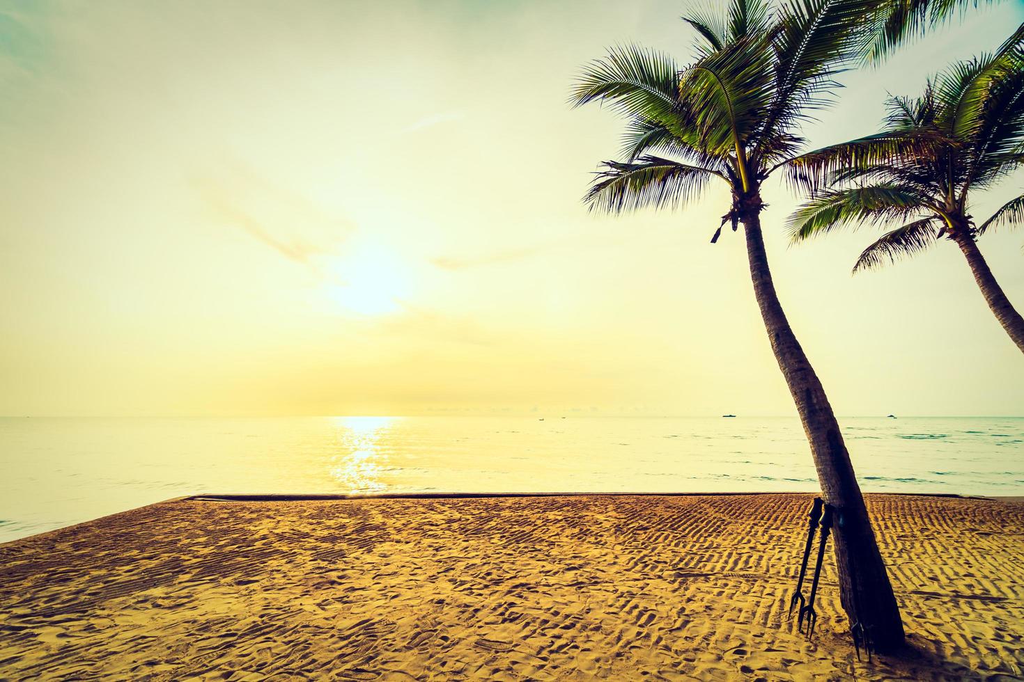 Beautiful coconut palm tree on the beach and sea photo
