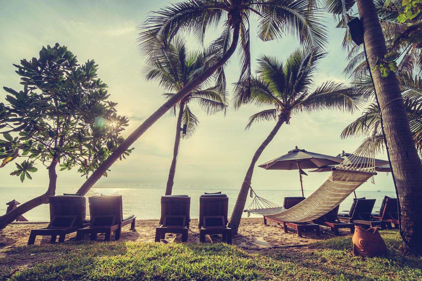 Beautiful coconut palm tree on the beach and sea photo