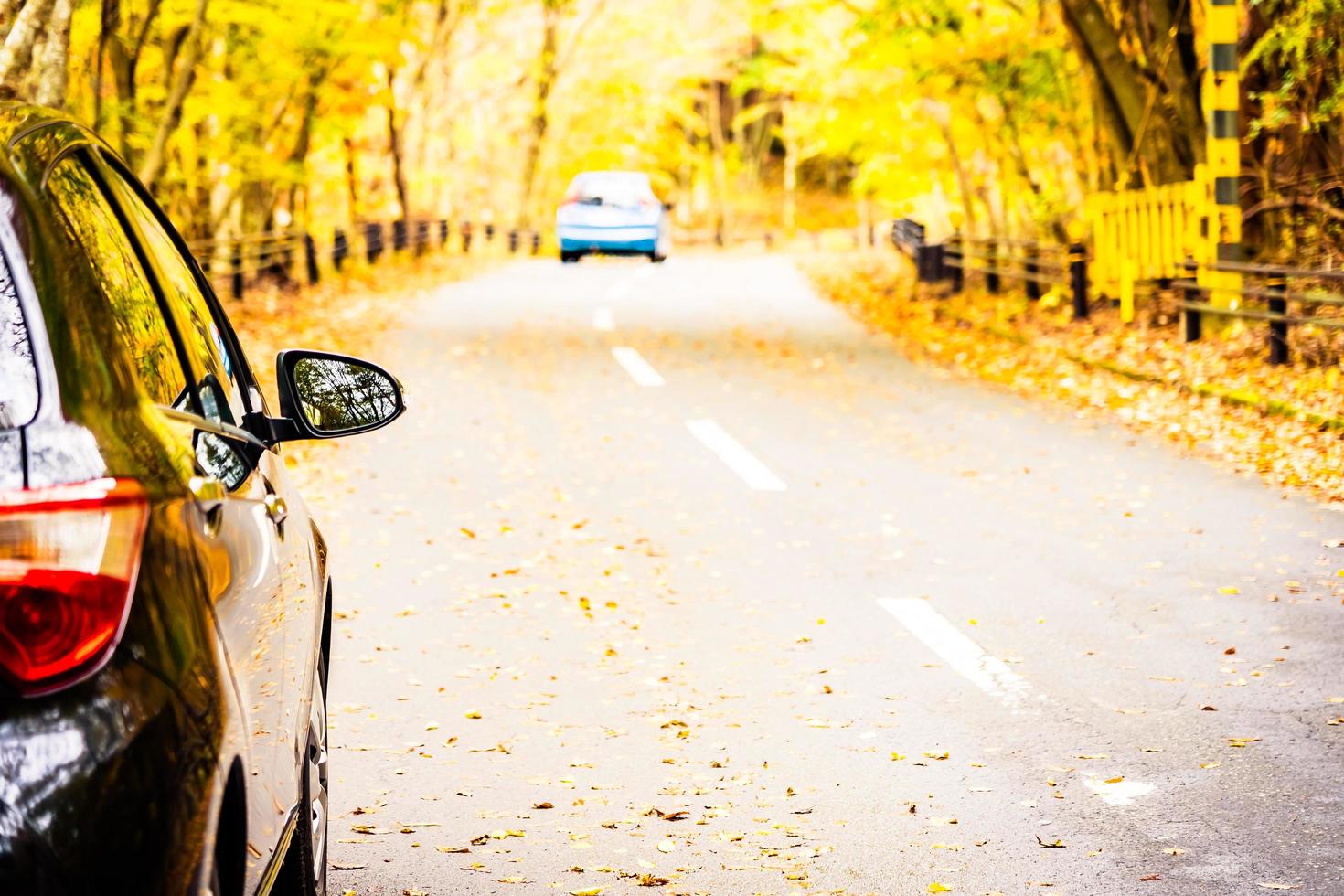 coche en la carretera en el bosque de otoño foto