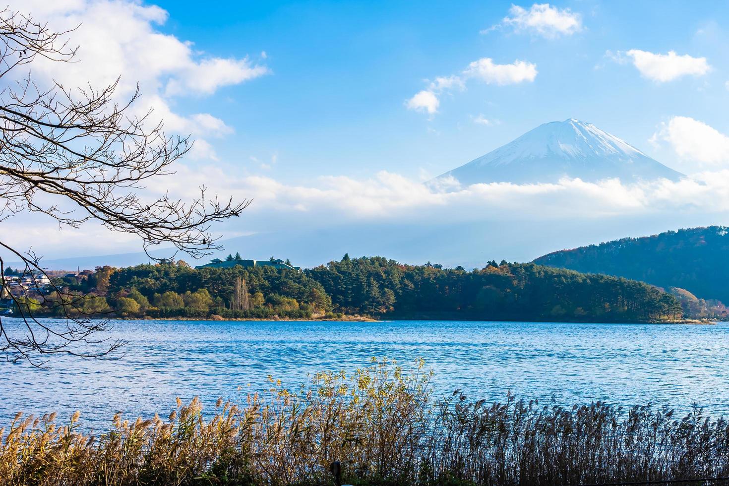 Landscape at Mt. Fuji in Japan photo