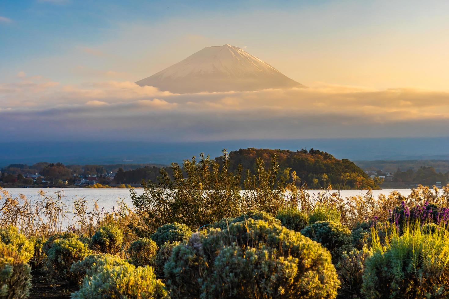 Landscape at Mt. Fuji in Japan photo