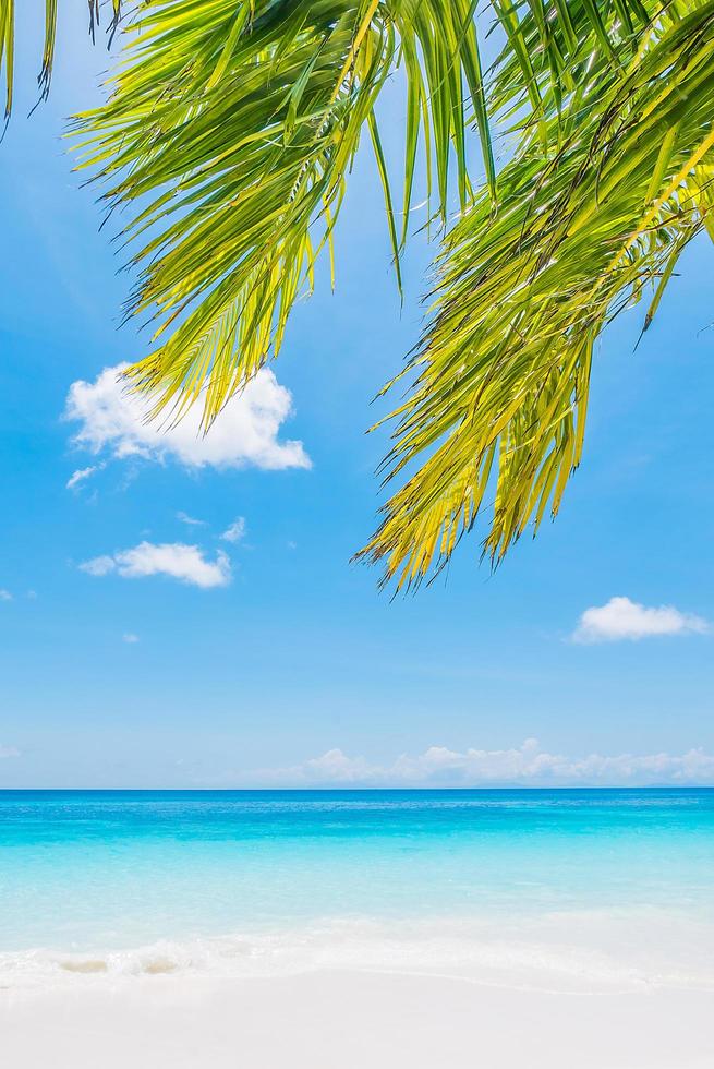 hermosa playa tropical con hojas de palmera foto