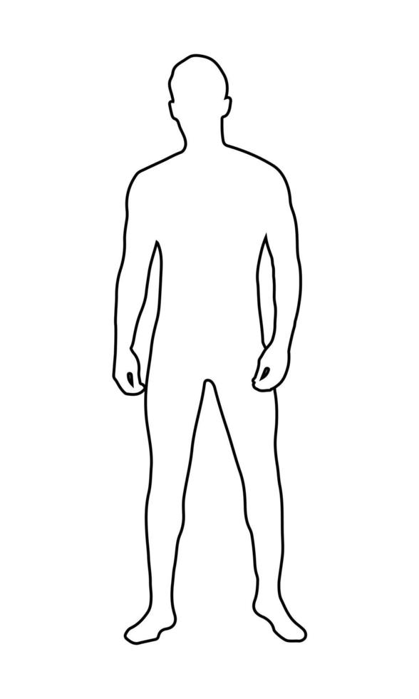 Vector outline human body. Mens figure in linear style. The outline of a young man. Black and white silhouette of a person.