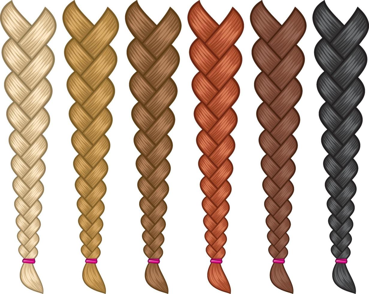 conjunto de trenzas de pelo vector