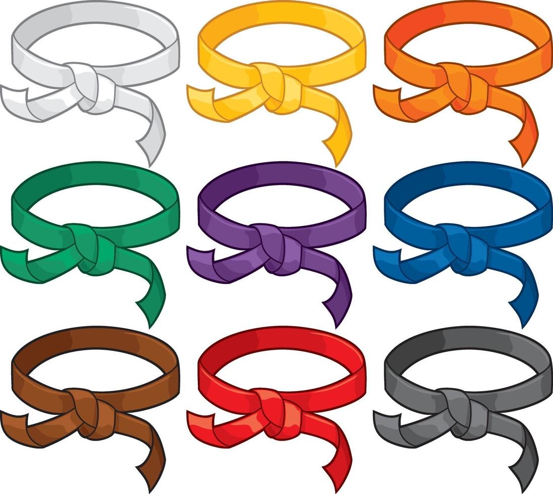 cinturones de artes marciales sistema de clasificación vector