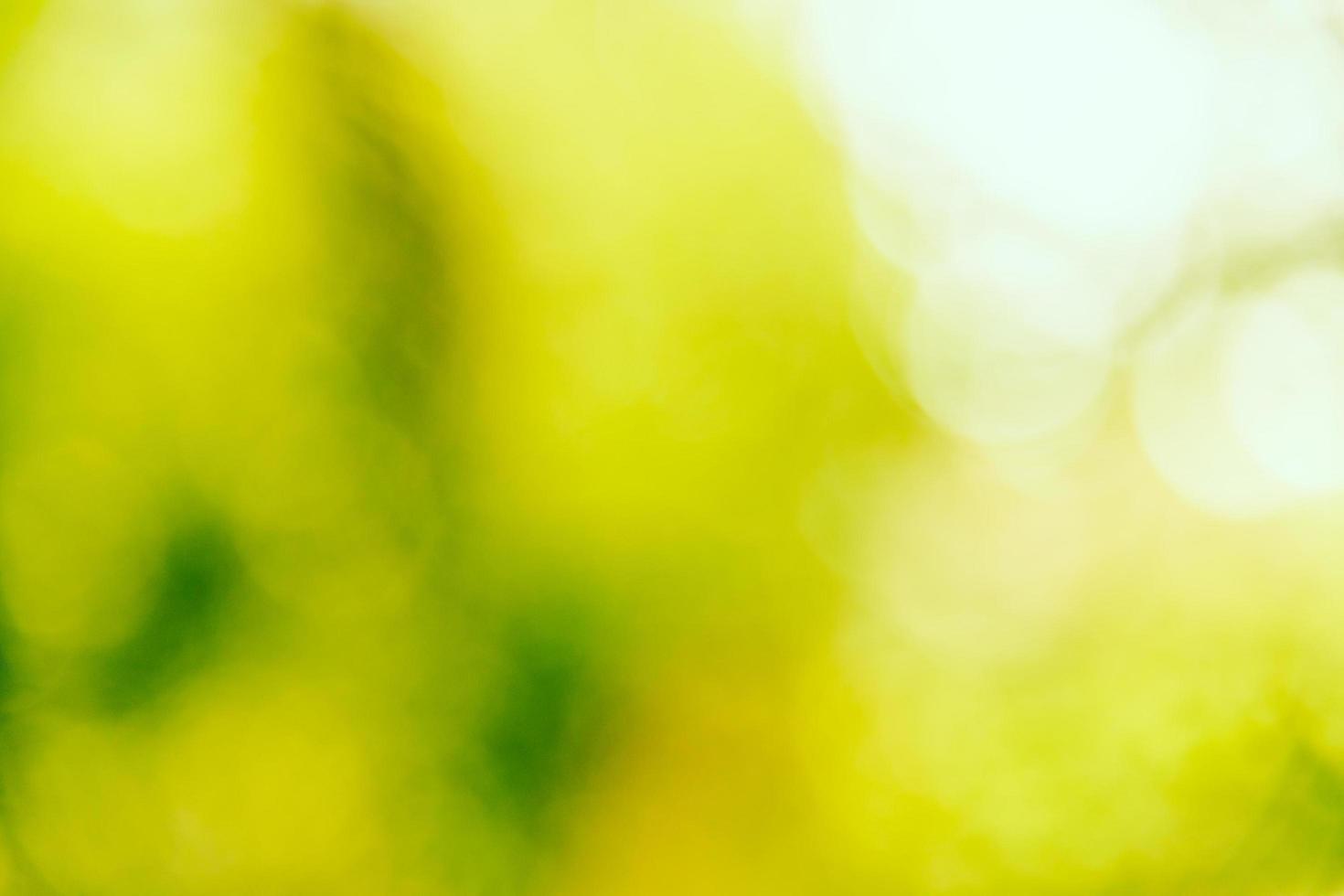 Abstract blur green bokeh background photo