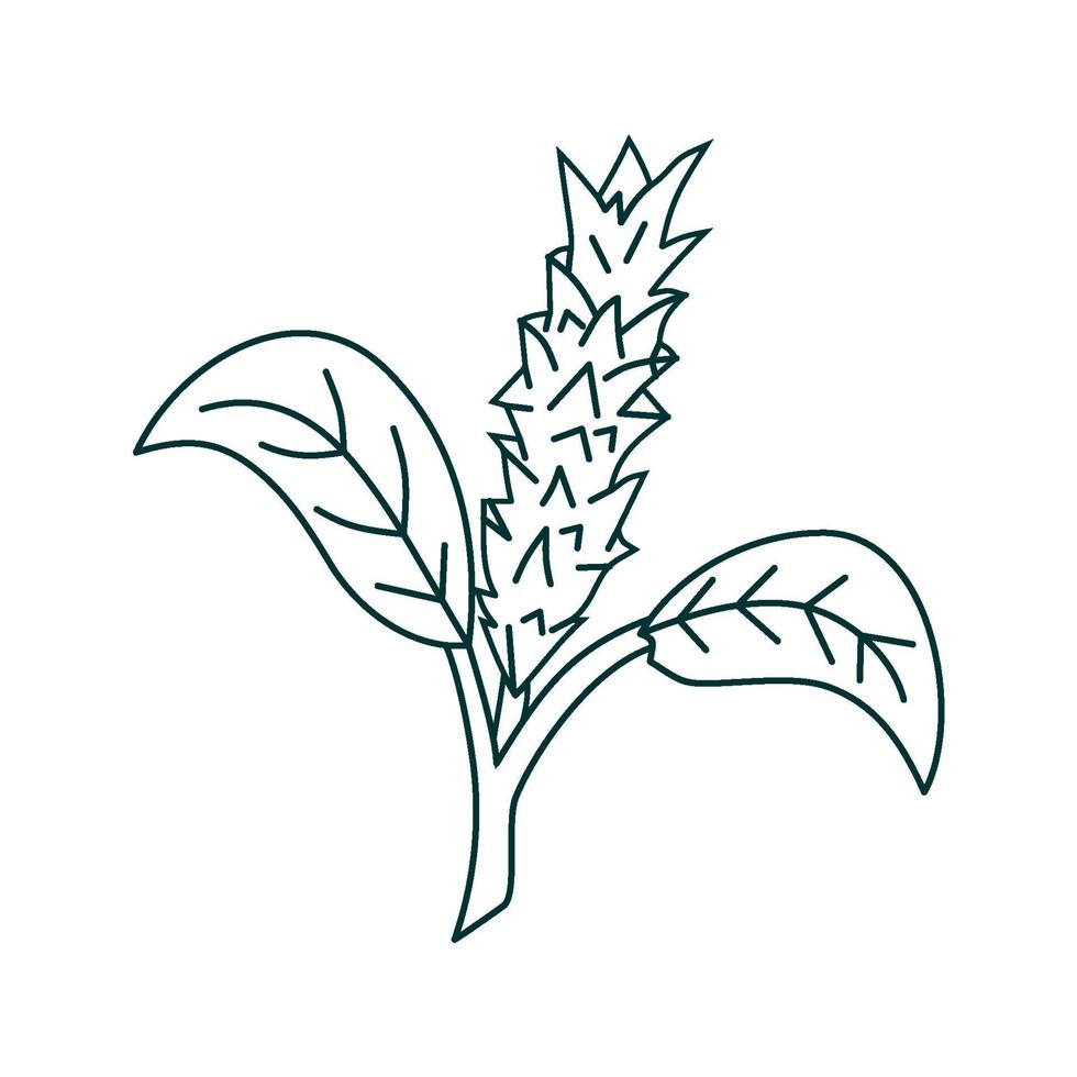 Flower Leaf Illustration Design Template vector