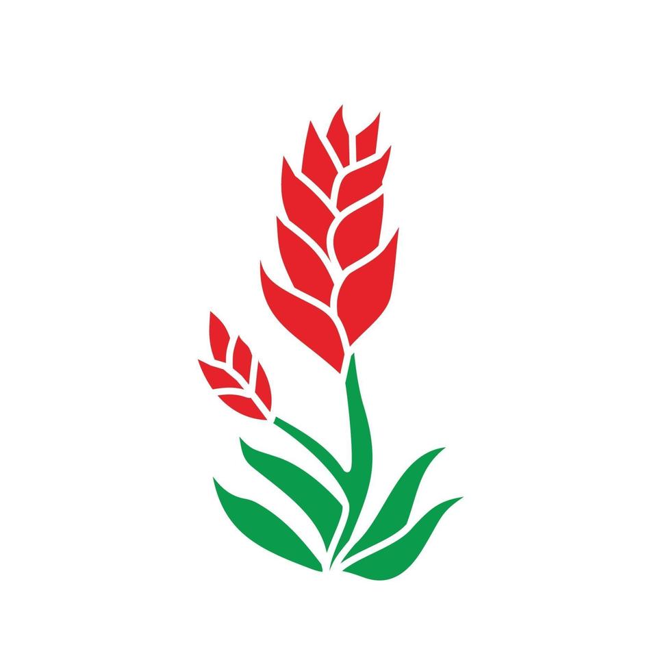 Flower Leaf Illustration Design Template vector