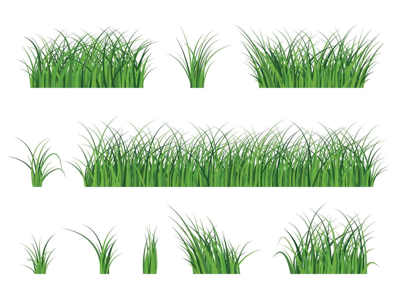 Fragmento de una hermosa hierba verde aislado en una ilustración de vector blanco