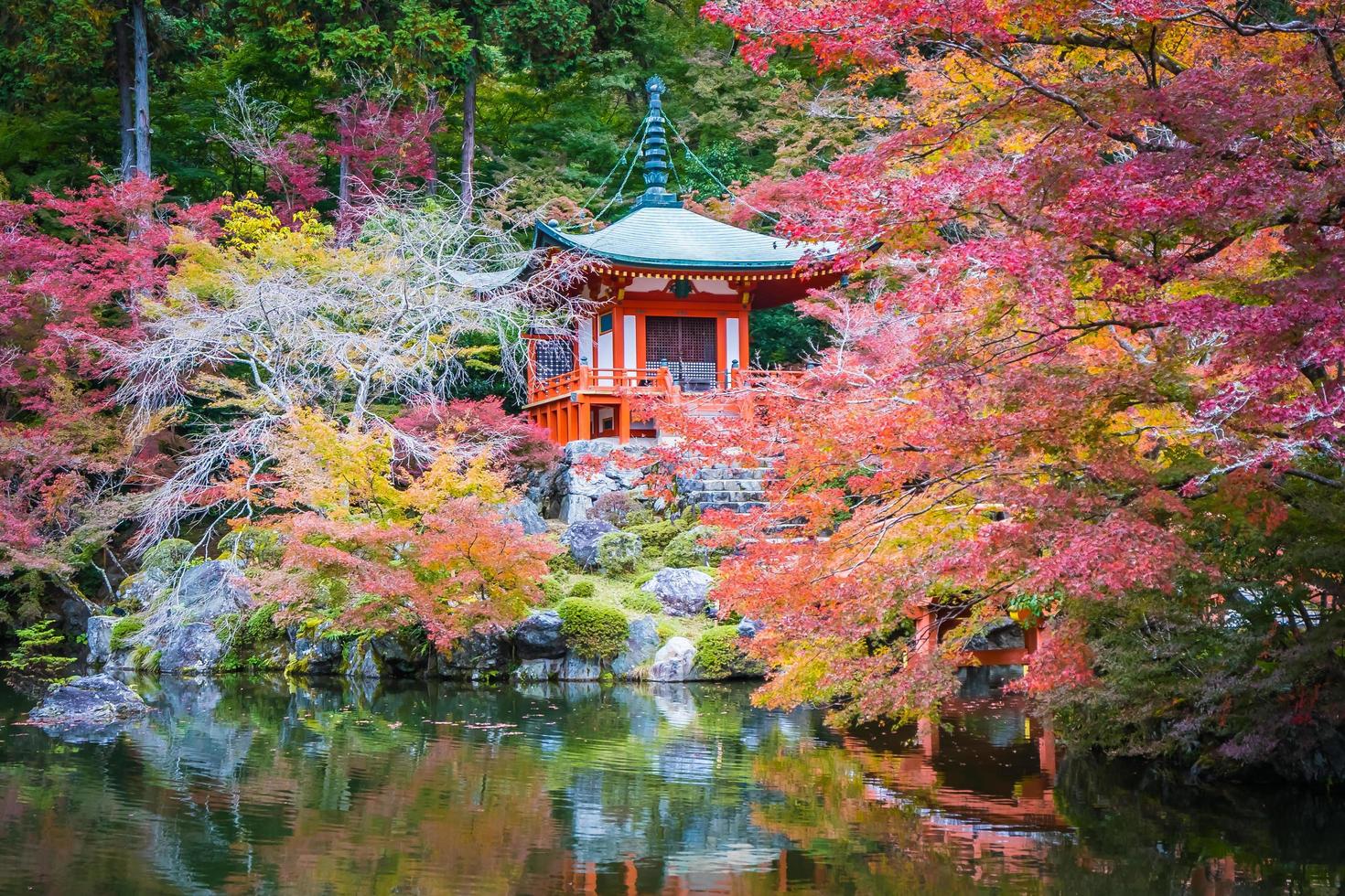 hermoso templo daigoji con coloridos árboles y hojas en la temporada de otoño foto