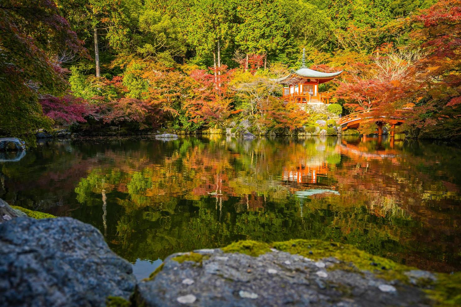 Beautiful Daigoji temple with colorful tree and leaf in autumn season photo