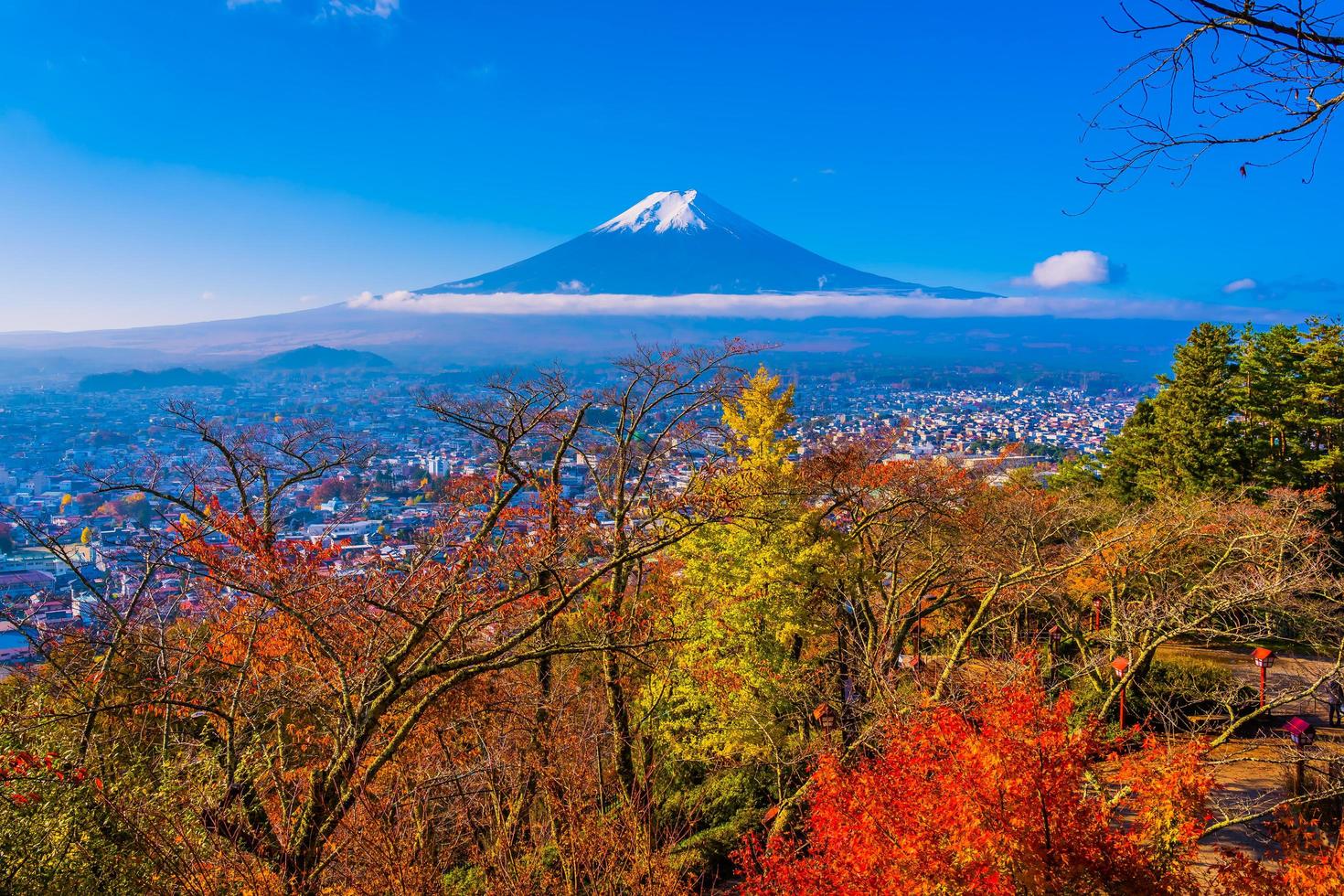 Landscape at Mt. Fuji in autumn, Japan photo