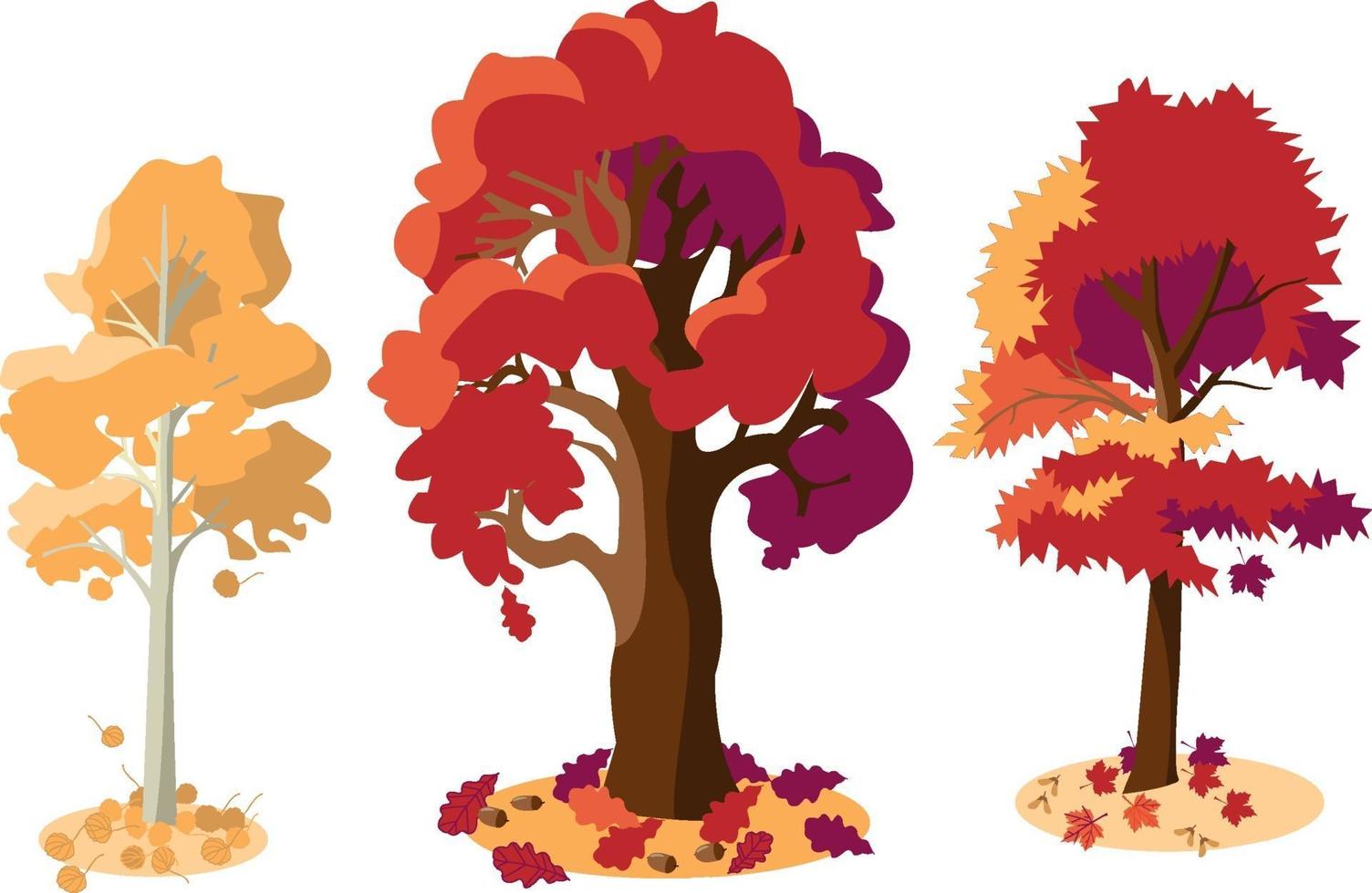 Aspen, oak, maple. Flat. vector