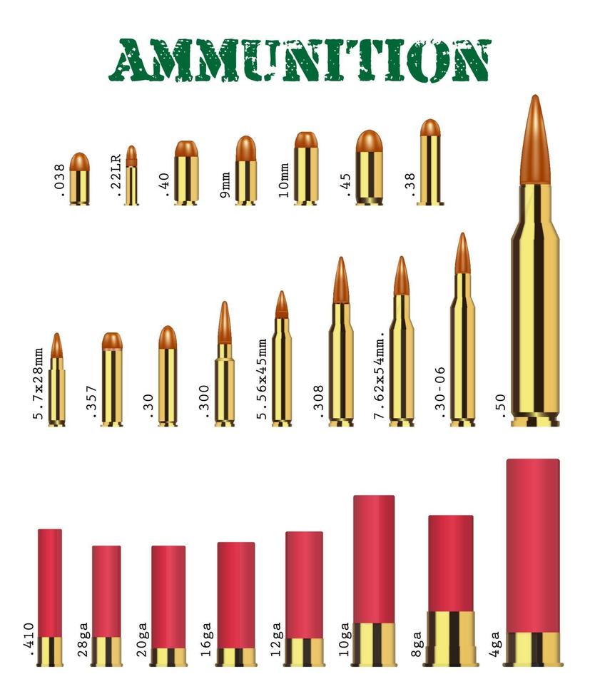 real set of many types of gun ammunition vector