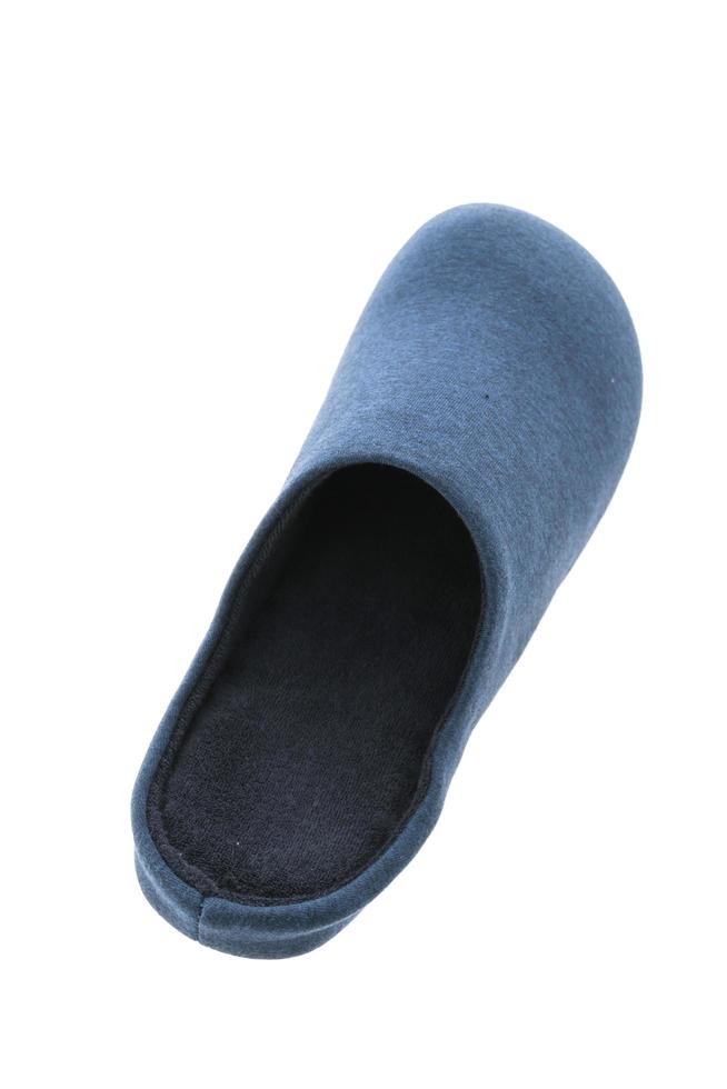 Shoe or Slippers for use in home photo