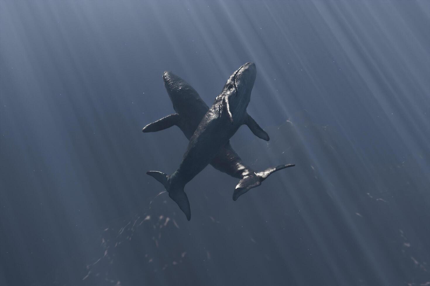 Dos ballenas en la profundidad del océano bailando con los rayos del sol que caen desde la superficie, render 3d foto