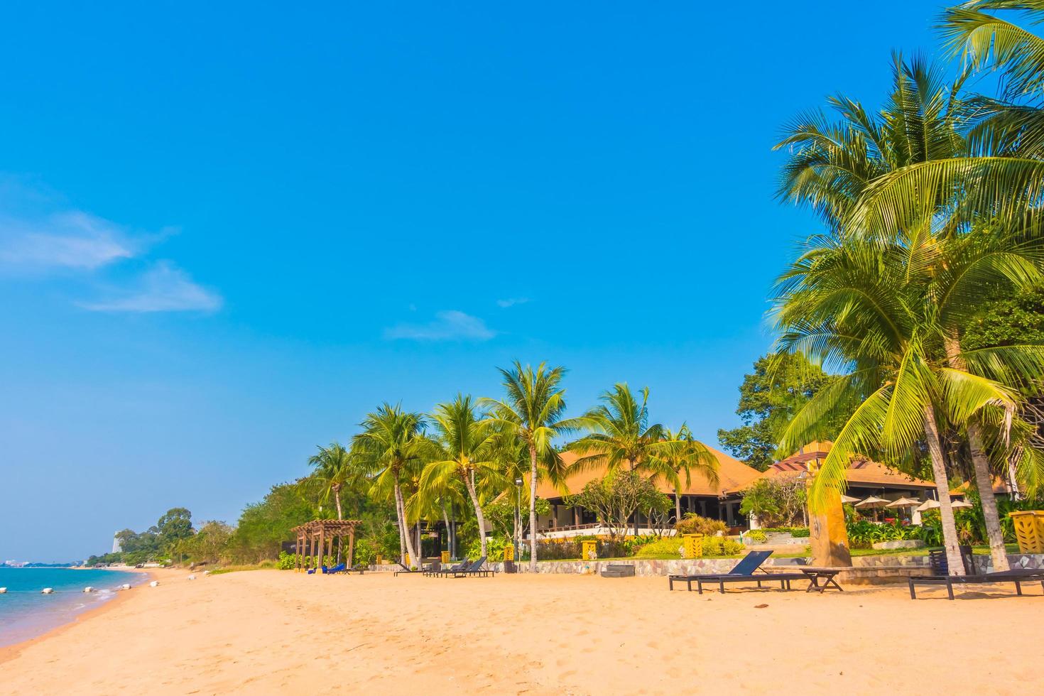 hermosa playa y mar con palmera foto