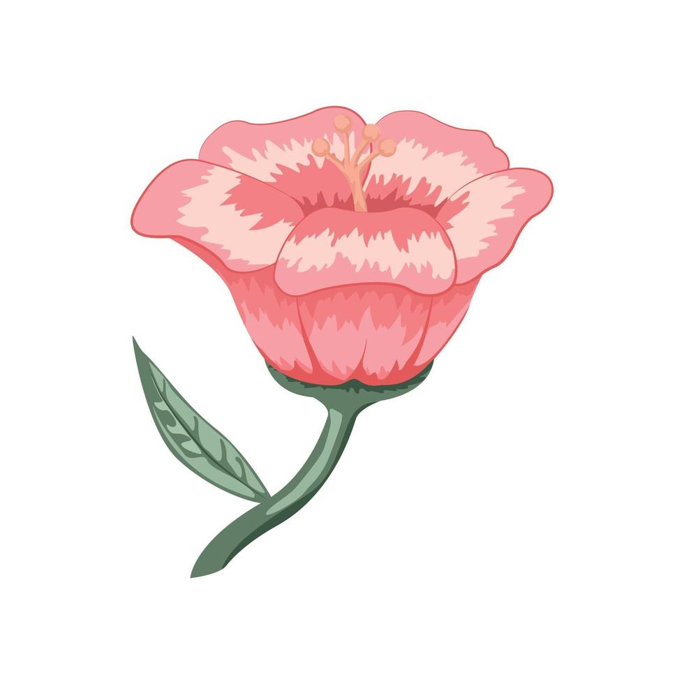 diseño de tulipán rosa. flores decoracion vector