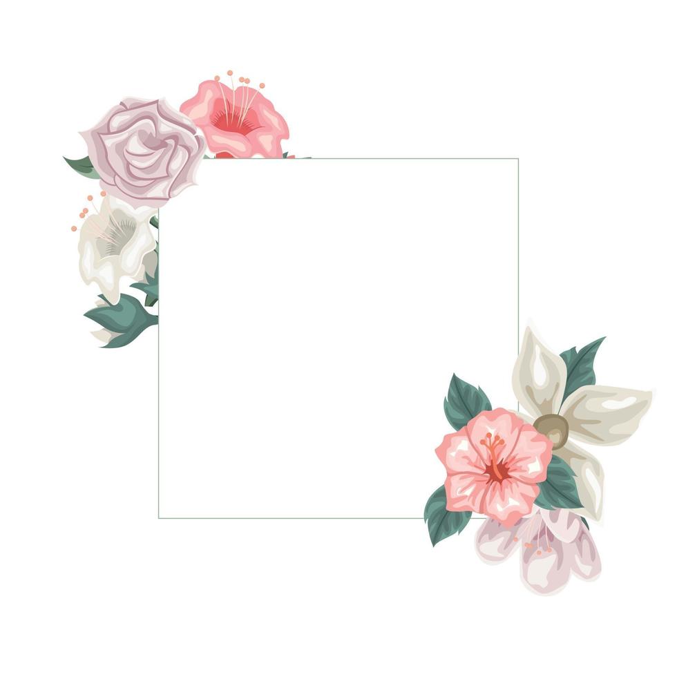 Frame of hibiscus, jasmine and tulips and roses for dedication 2262427 ...