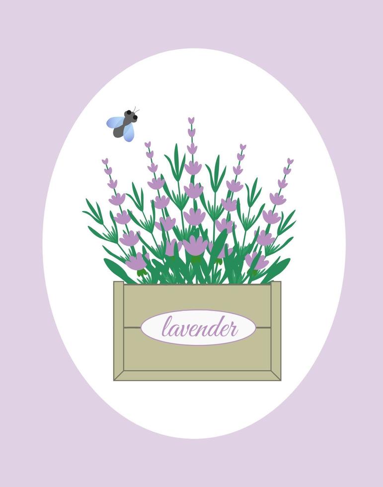 flores de lavanda en una caja de madera con una mosca. Ilustración de vector de concepto en un estilo plano. perfecto para publicaciones en Internet, tarjetas de felicitación o impresión.