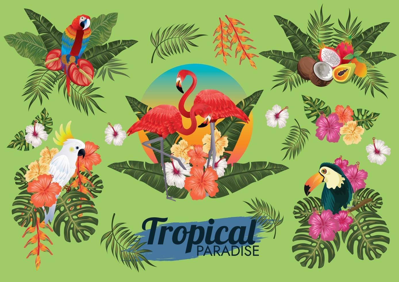 tropical paradise element set with birds and foliage vector