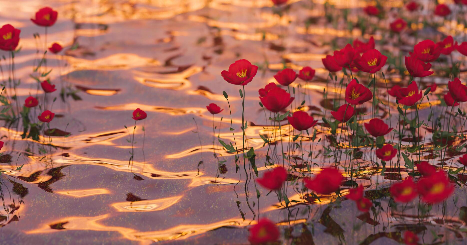 amapolas en agua clara con destellos de luz de una cálida puesta de sol, representación 3d foto