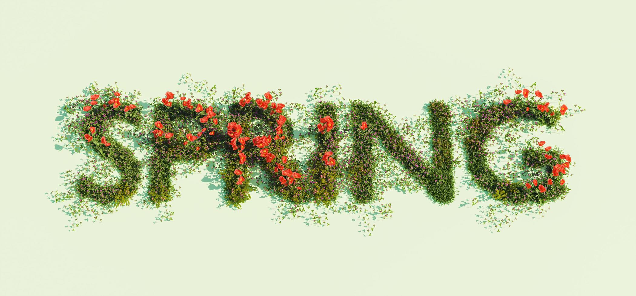 Firmar con la palabra primavera de flores de primavera sobre un fondo verde, 3D Render foto