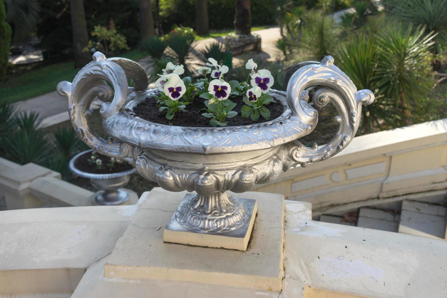 Jarrón de plata con plantas sobre escalones de hormigón en un arboreto en Sochi, Rusia foto