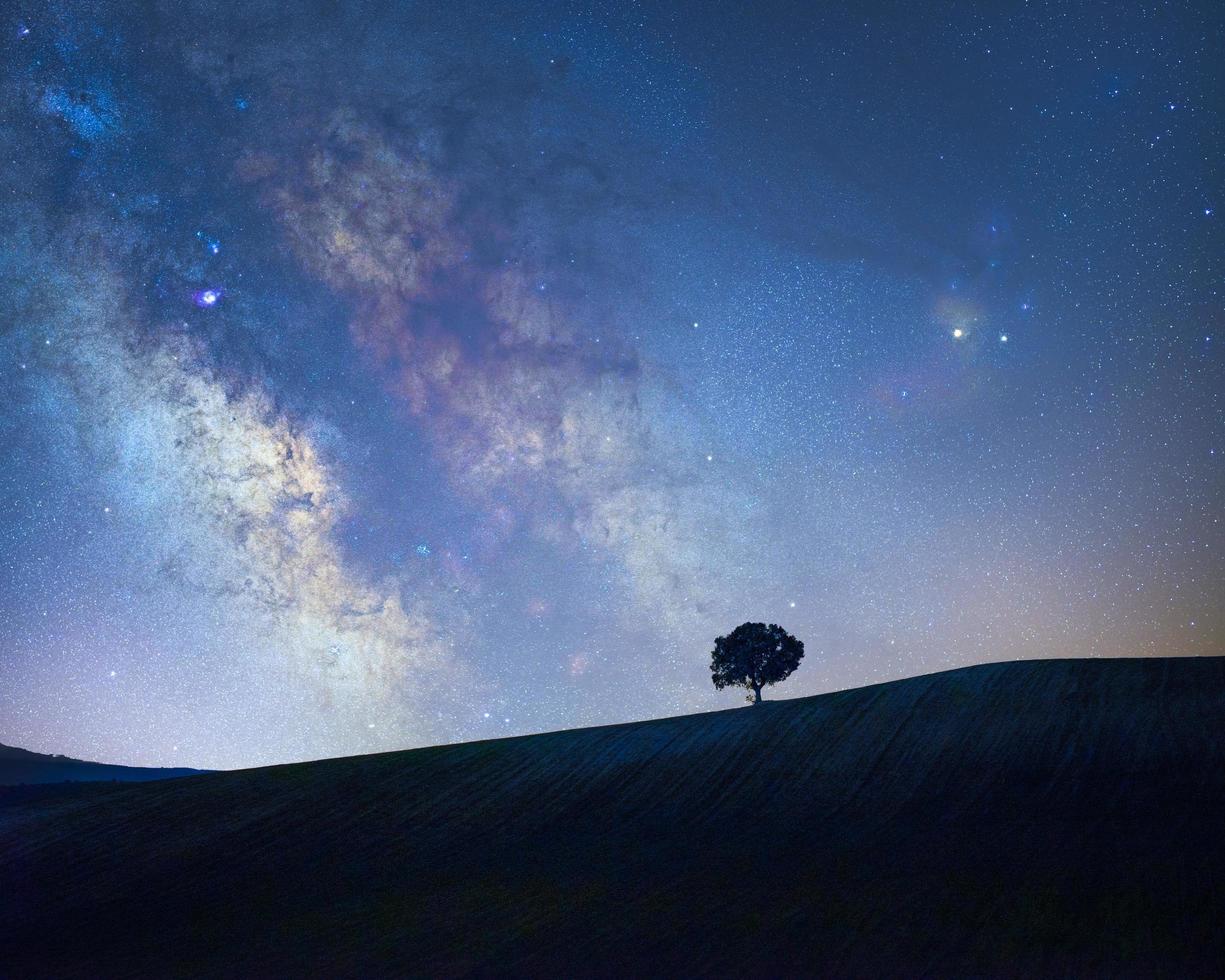 Galactic center of the milky way with a tree silhouette on a meadow photo