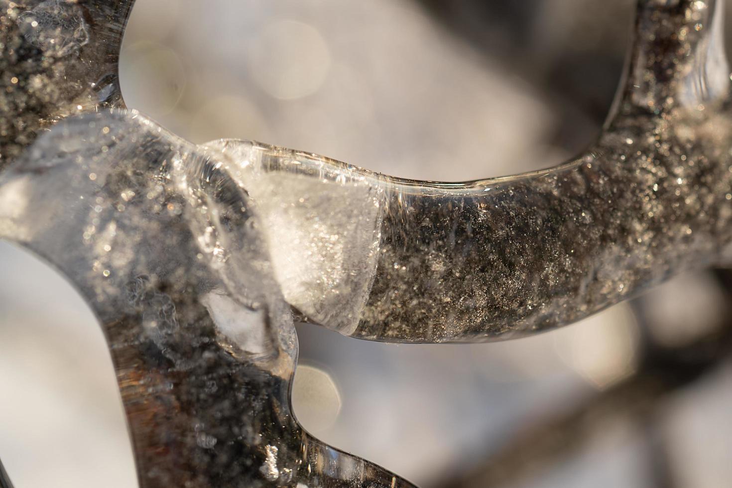 Close-up of icicles on bare tree branches photo