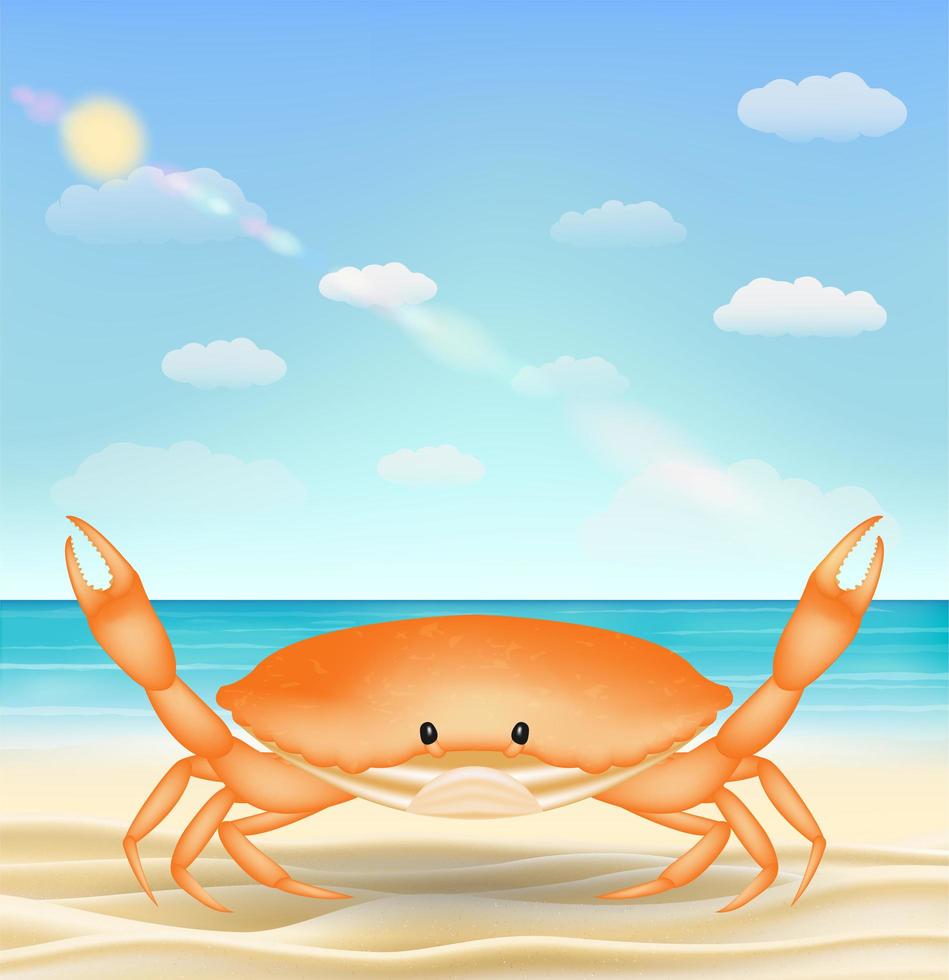 orange sea crab on a sea sand beach vector