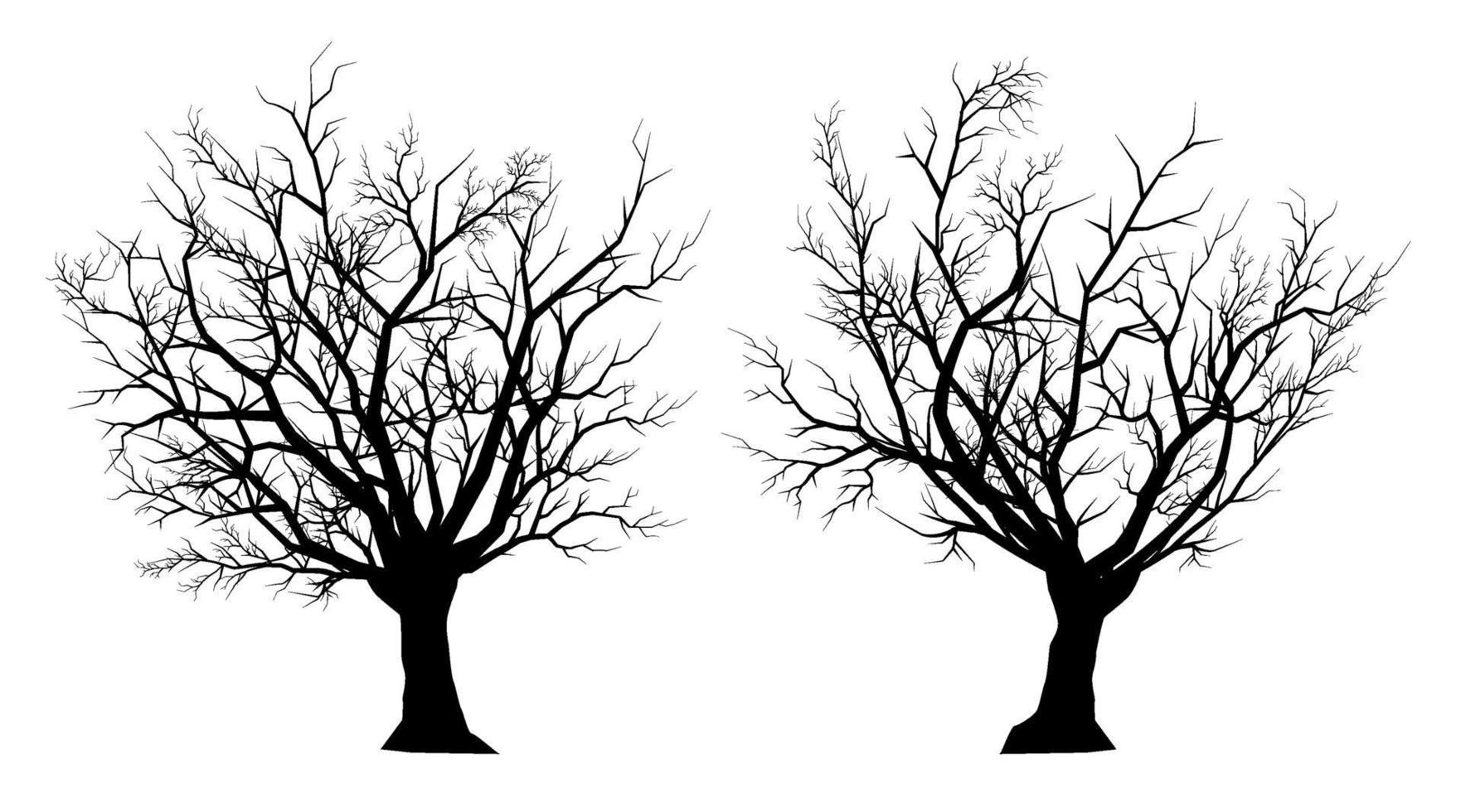 silhouette dead tree on a white background vector