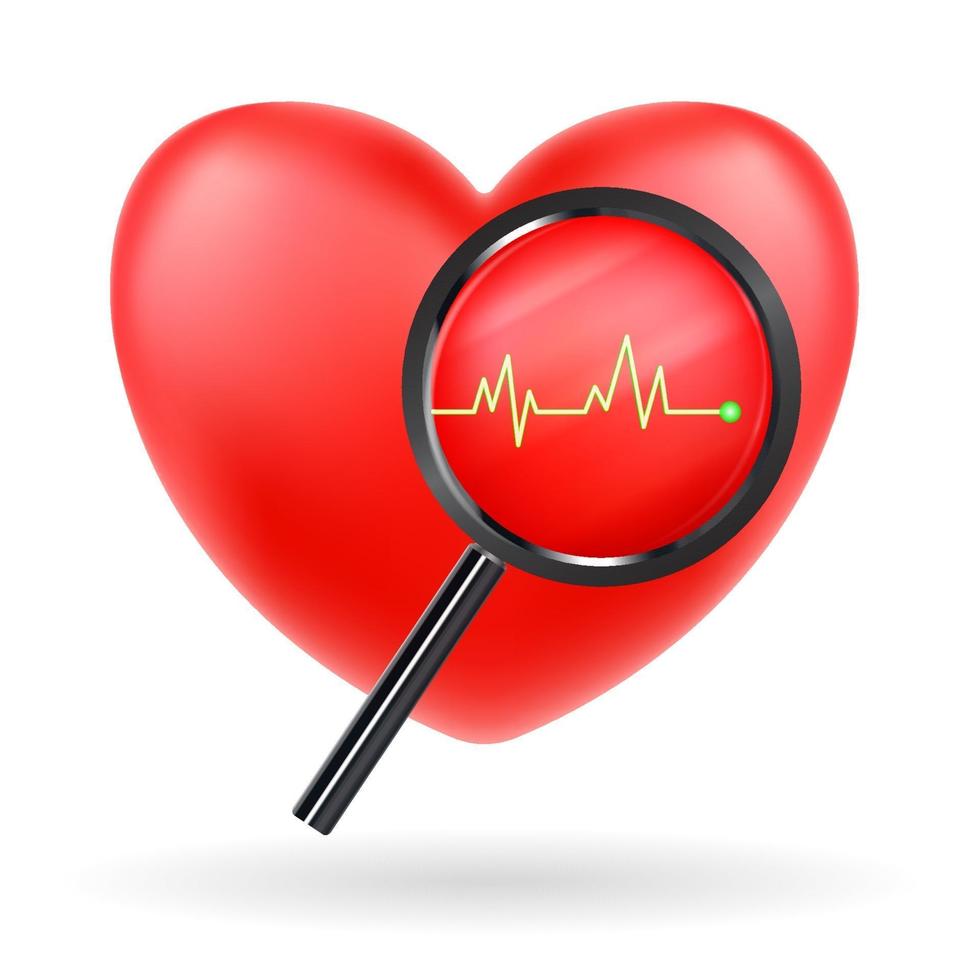 magnify glass scanning red heart beat vector