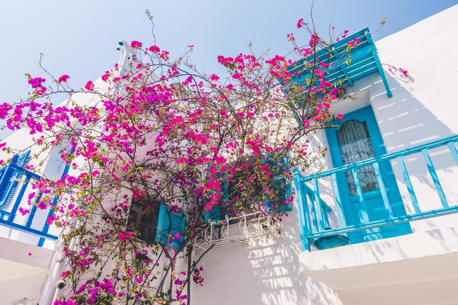 Traditional buildings on Santorini, Greece photo