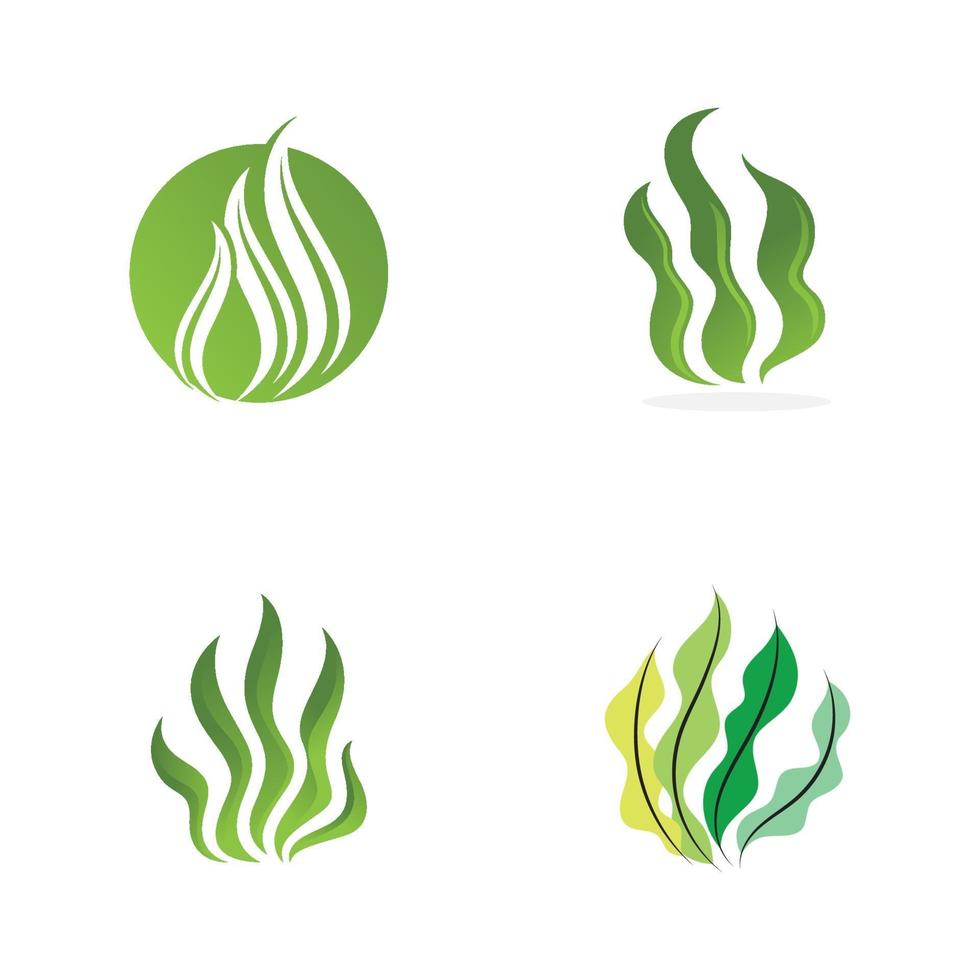 seaweed sea of nature logo vector illustration design