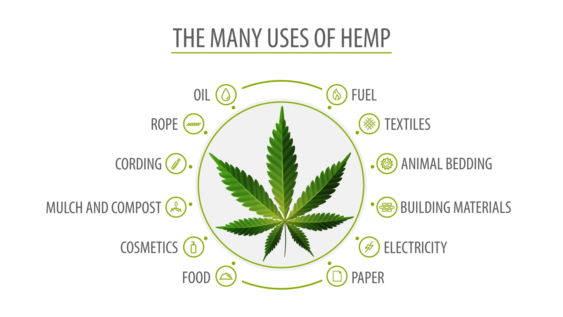 Many uses of hemp, white poster with infographic of uses of hemp and