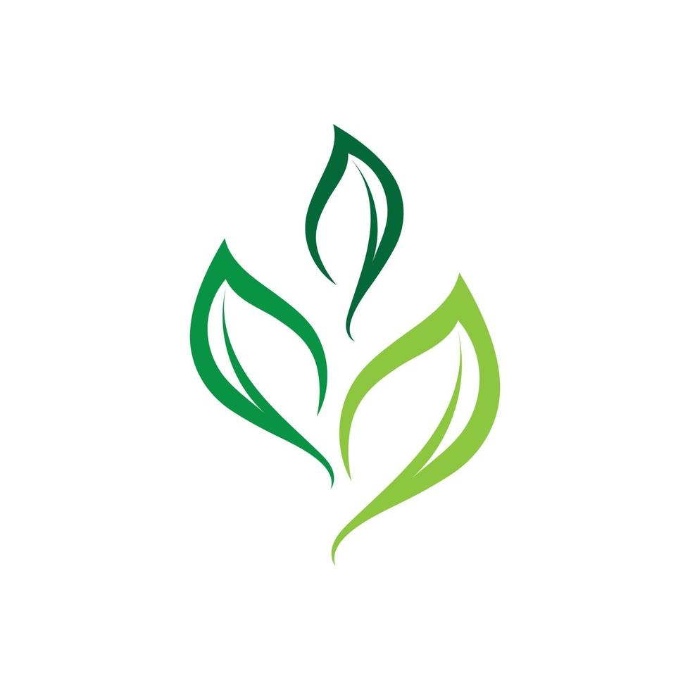 hoja verde logo naturaleza ecología vector