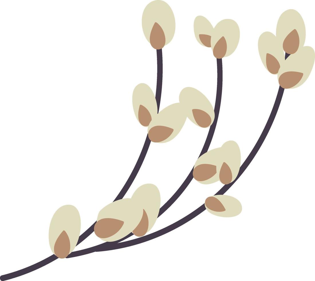 Willow twig isolated on a white background. Easter willow.Flat vector illustration. Design for Easter, packaging.