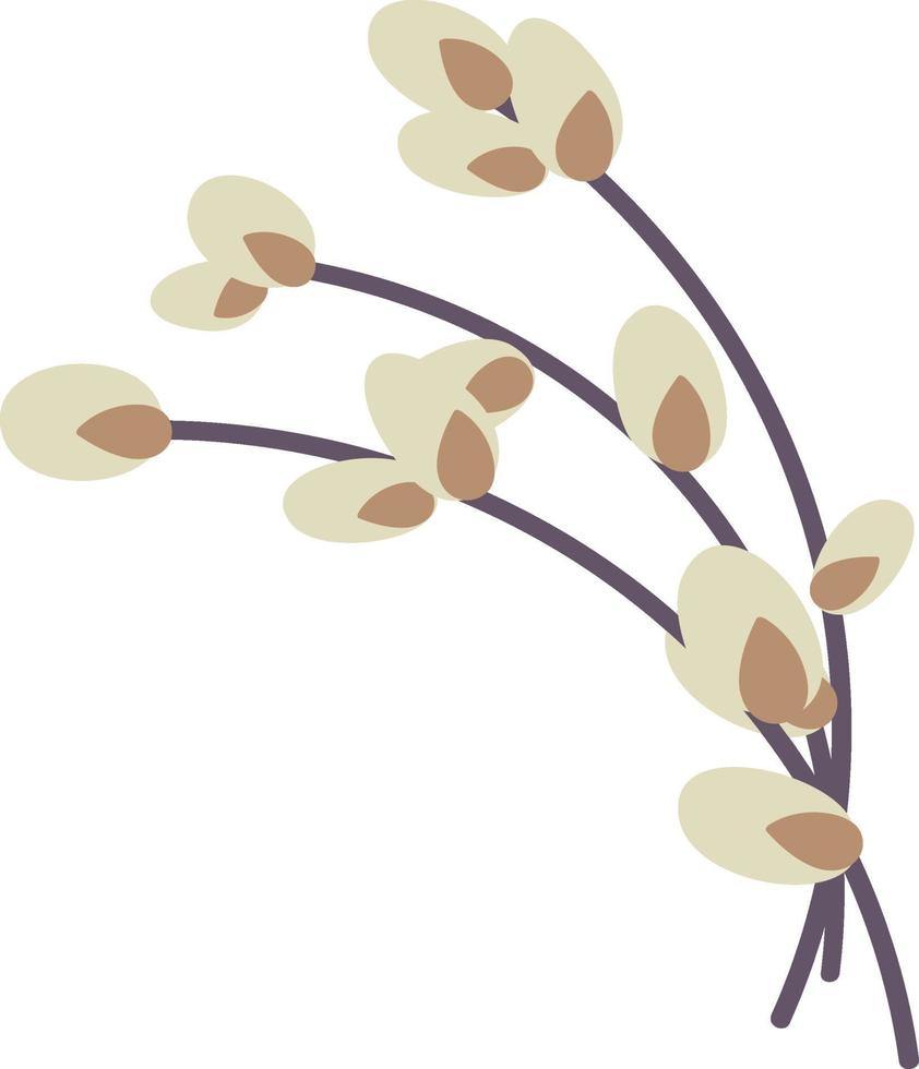 Willow twig isolated on a white background. Easter willow.Flat vector illustration. Design for Easter, packaging.